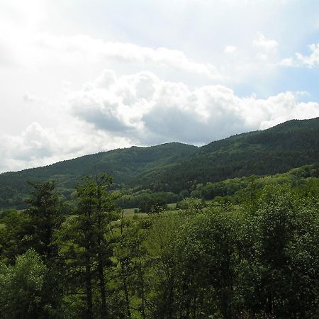 A L'Arbre Vert Wintzfelden エクステリア 写真