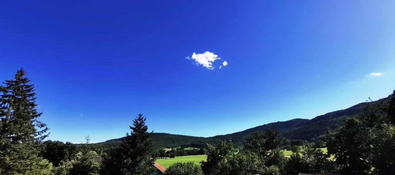 A L'Arbre Vert Wintzfelden エクステリア 写真