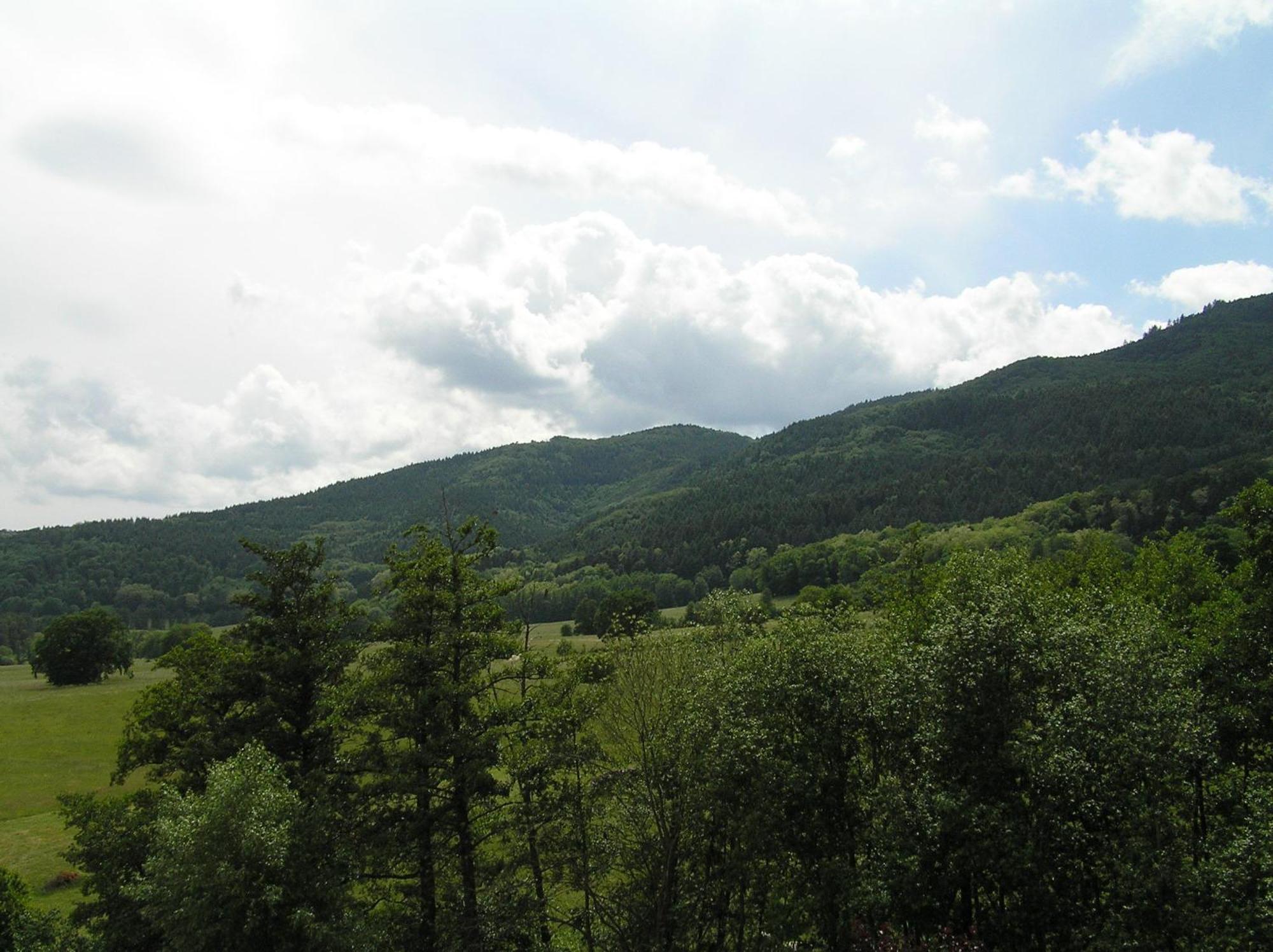 A L'Arbre Vert Wintzfelden エクステリア 写真