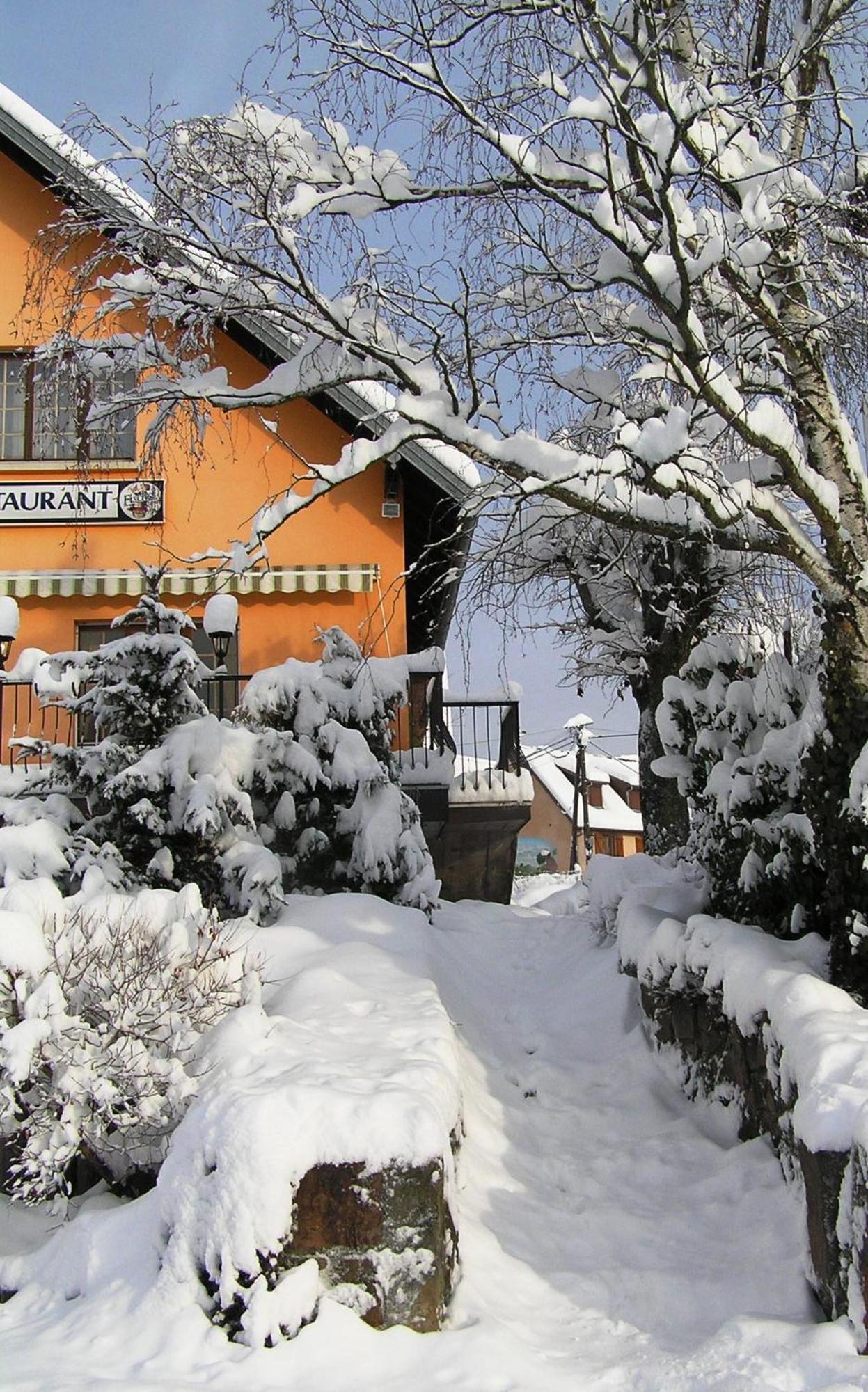 A L'Arbre Vert Wintzfelden エクステリア 写真